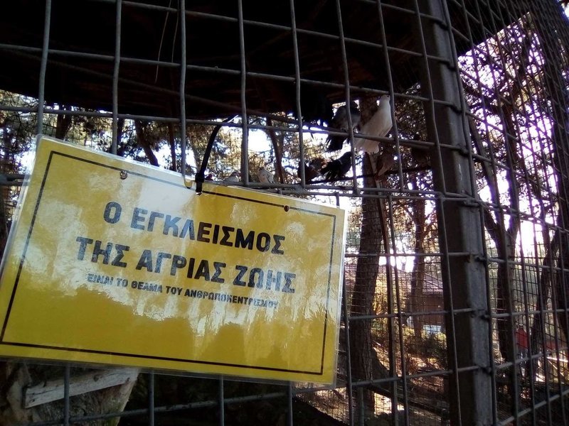 Από την παρέμβαση στον ζωολογικό κήπο / Φωτογραφία: indymedia