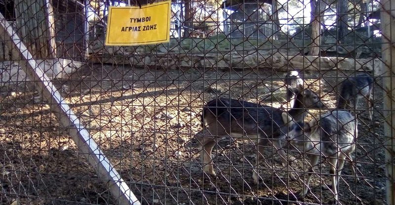 Από την παρέμβαση στον ζωολογικό κήπο / Φωτογραφία: indymedia