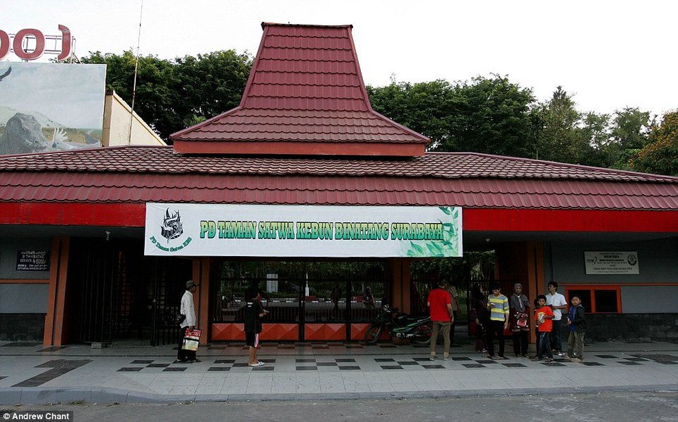 Ασύλληπτες εικόνες από τον πιο βάναυσο ζωολογικό κήπο του κόσμου – Πάνω από 50 ζώα έχουν πεθάνει τους τελευταίους τρεις μήνες [εικόνες]  | iefimerida.gr 8