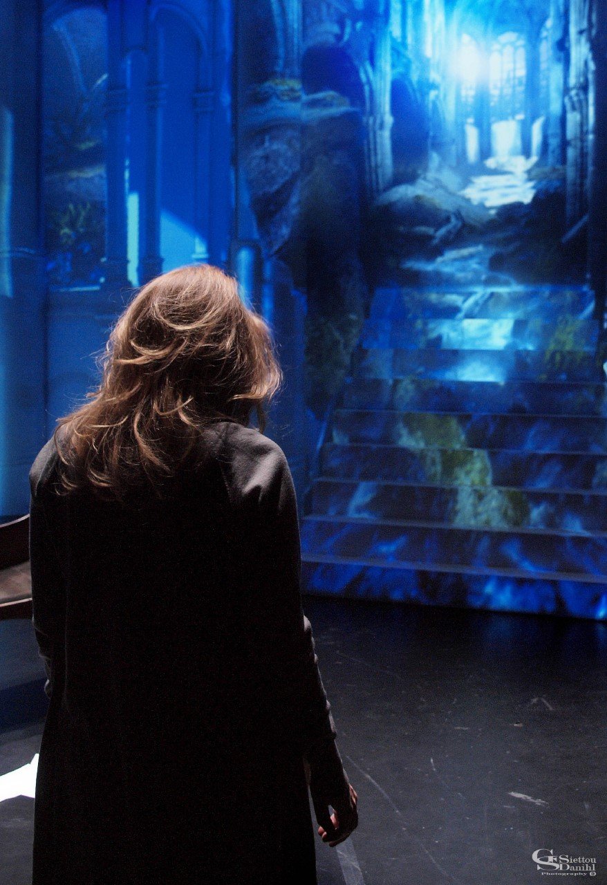 Οι πρώτες φωτογραφίες από την παράσταση του Ανγκ Λι με την Πέμη Ζούνη -3d εμπειρία [εικόνες]  | iefimerida.gr 0