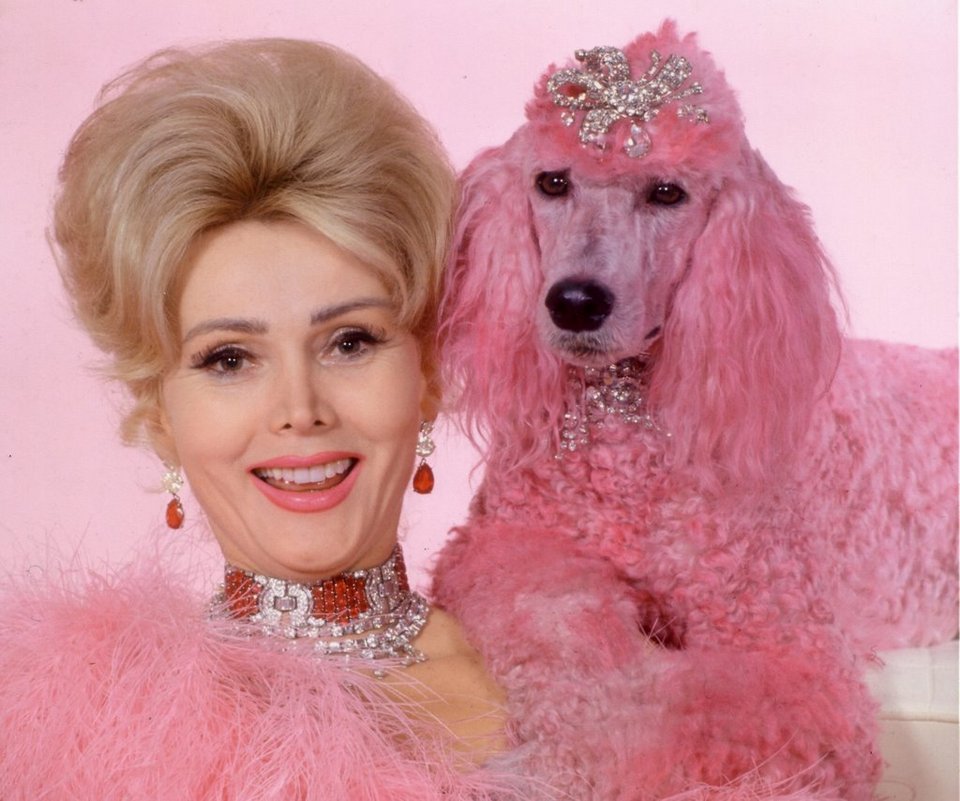 Ζα Ζα Γκαμπόρ -Εννιά γάμοι και μια κηδεία [εικόνες] | iefimerida.gr 1