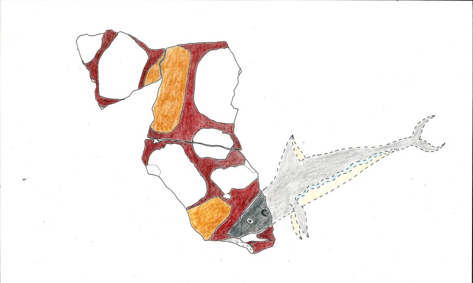 Κρήτη: Εντυπωσιάζει η ανασκαφή στη Ζώμινθο -Αποκάλυψε μεγαλοπρεπές Μινωικό κτήριο [εικόνες] | iefimerida.gr 1