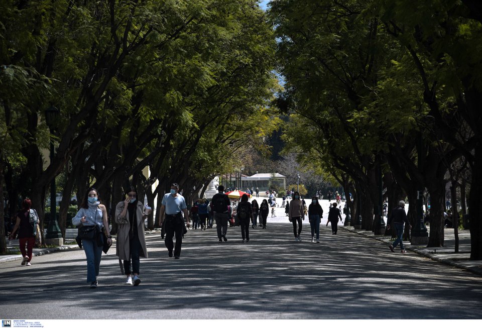 Φωτογραφία: IntimeNews/ΖΑΧΟΣ ΓΙΩΡΓΟΣ