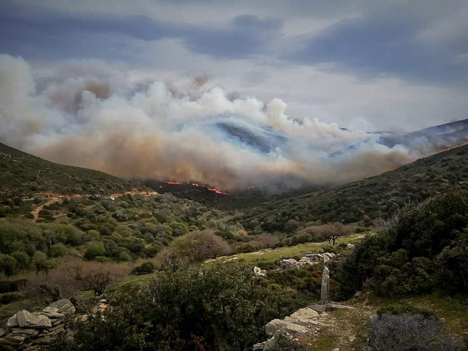 Άνδρος