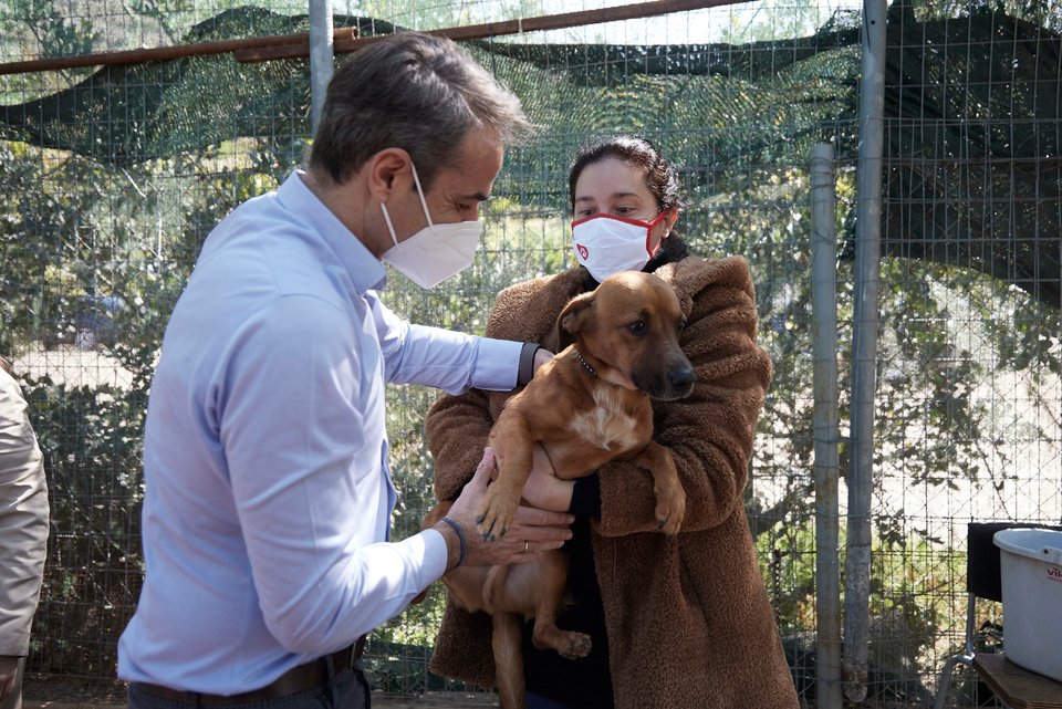 Ο Κυριάκος Μητσοτάκης υιοθέτησε το σκυλάκια από το καταφύγιο της Φιλοζωικής Ένωσης Ηλιούπολης