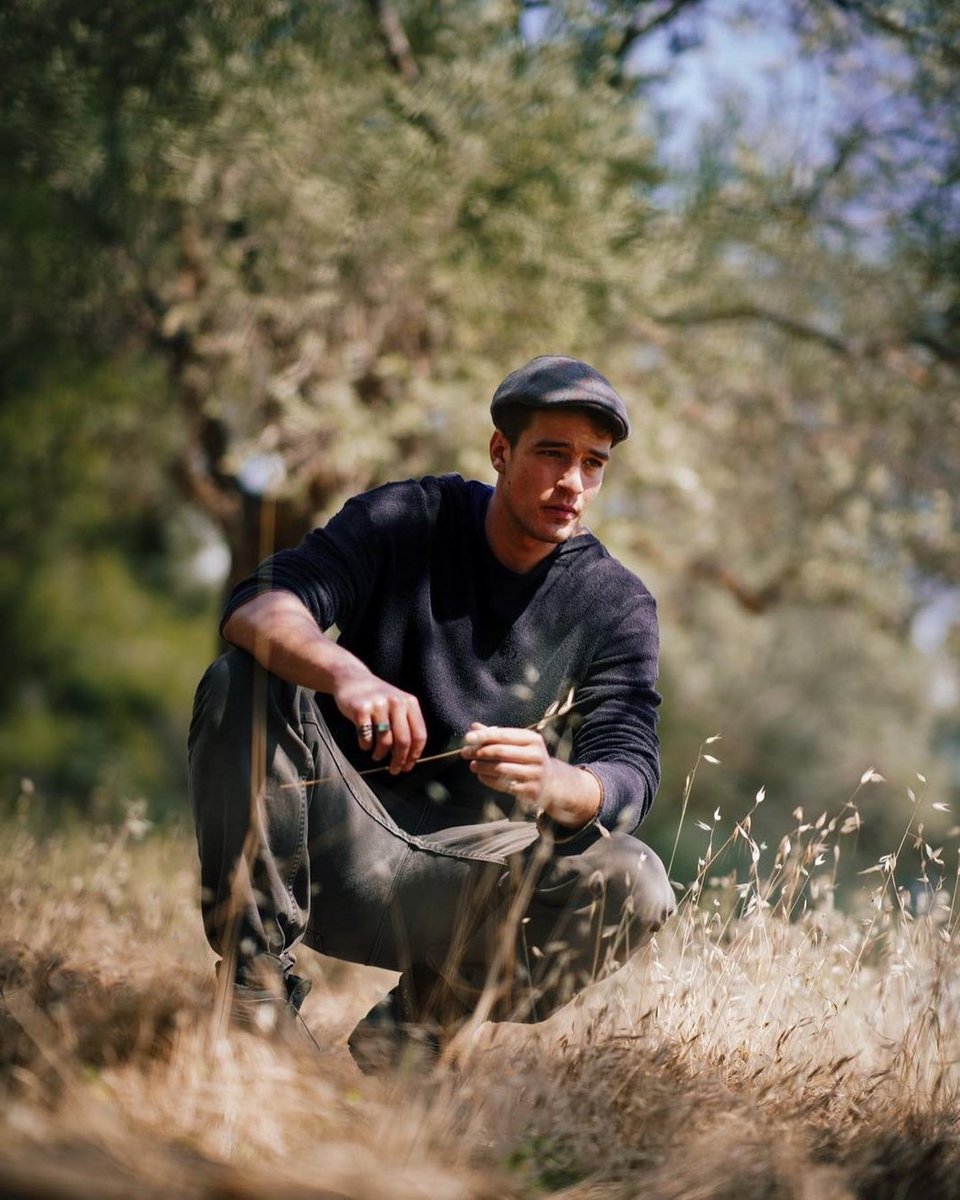 Η Γη της Ελιάς