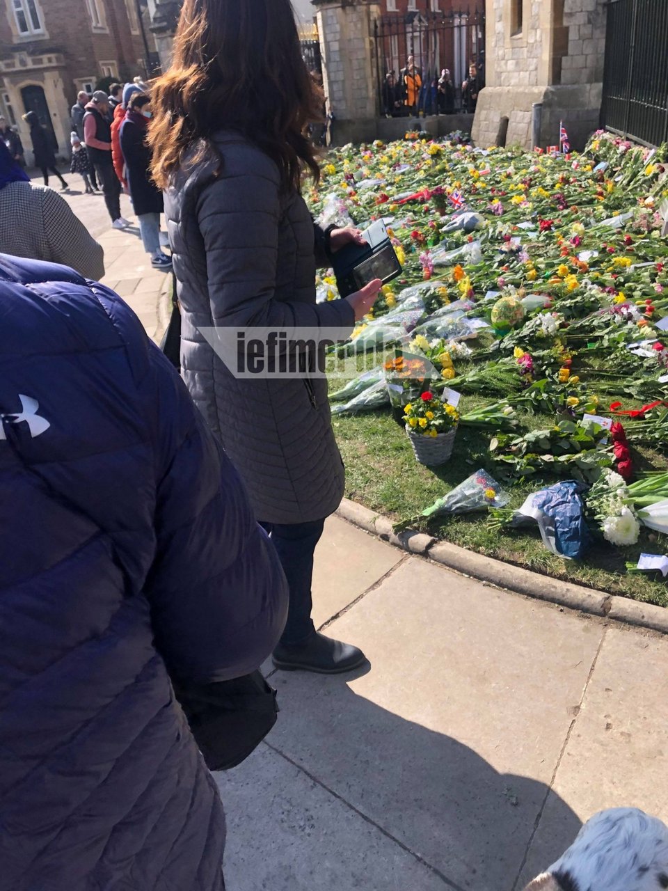 Ενα λουλούδι στη μνήμη του πρίγκιπα Φίλιππου