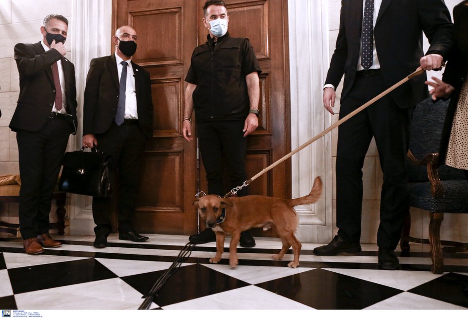 © INTIME NEWS/ ΤΖΑΜΑΡΟΣ ΠΑΝΑΓΙΩΤΗΣ