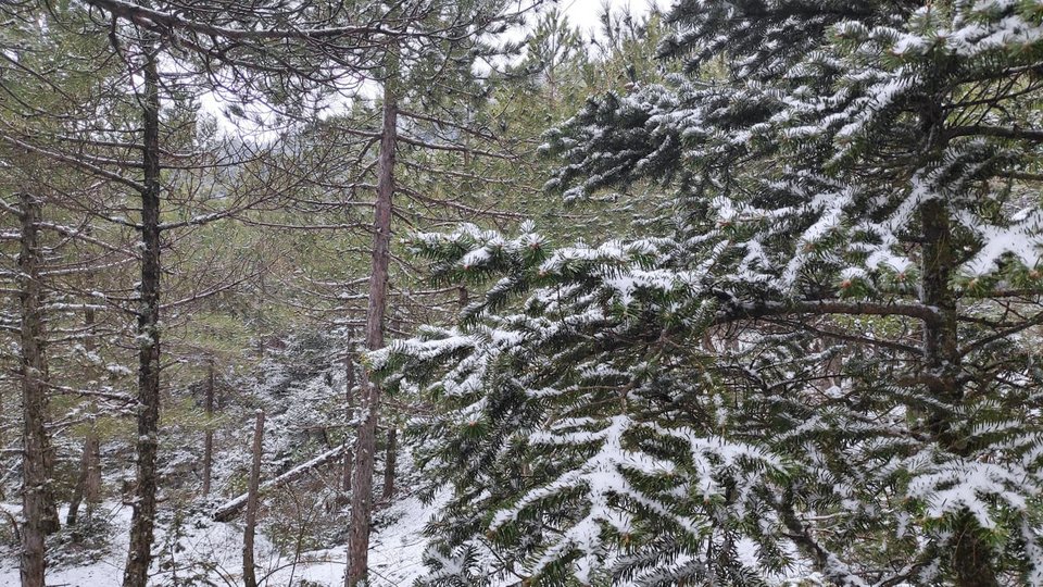 Χιόνια στην Πάρνηθα στις 9 Απριλίου