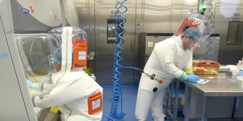 Eρευνητές του Ινστιτούτου Ιολογίας της Ουχάν 