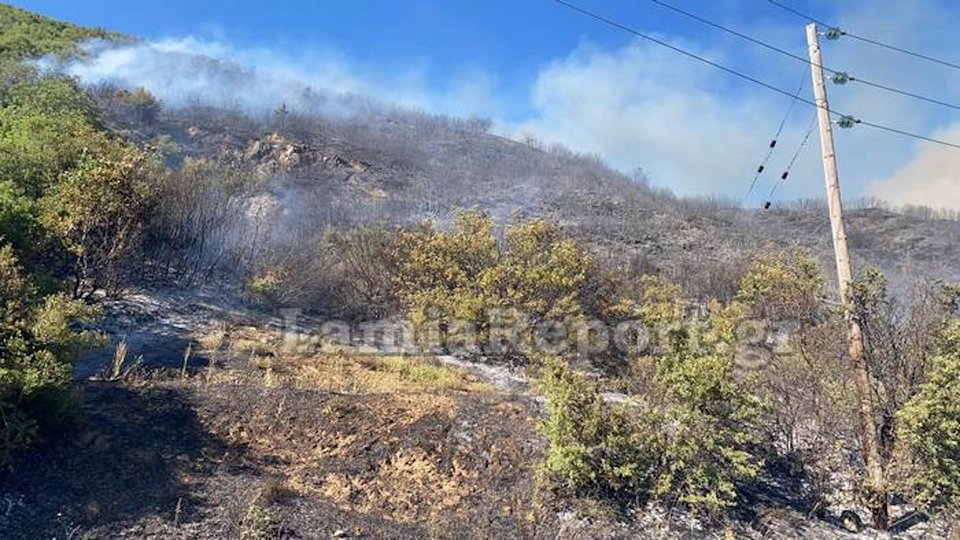 Φωτογραφία: lamiareport