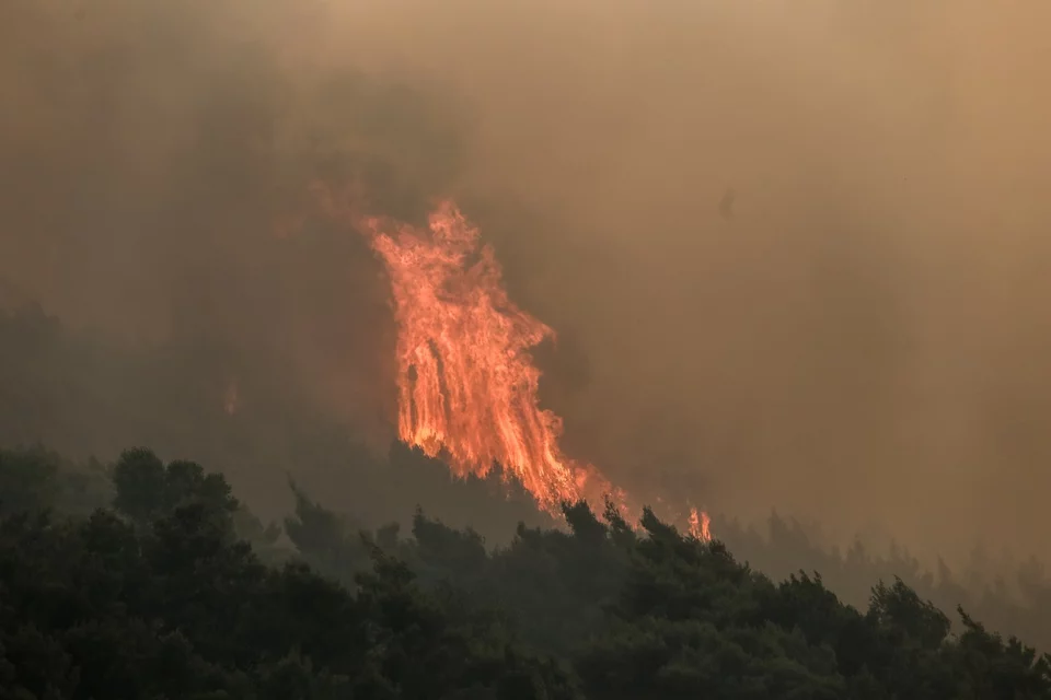 Μαίνεται η φωτιά στον Σχίνο: Πέρασε στο νομό Αττικής -Νέο μήνυμα από το «112» για εκκένωση τεσσάρων οικισμών στα Μέγαρα | ΠΟΛΙΤΙΚΗ | iefimerida.gr