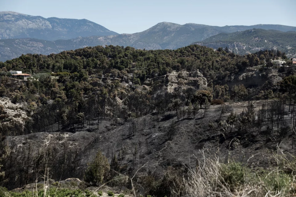 gerania-kammena-2.jpg.webp?itok=brcxJePO