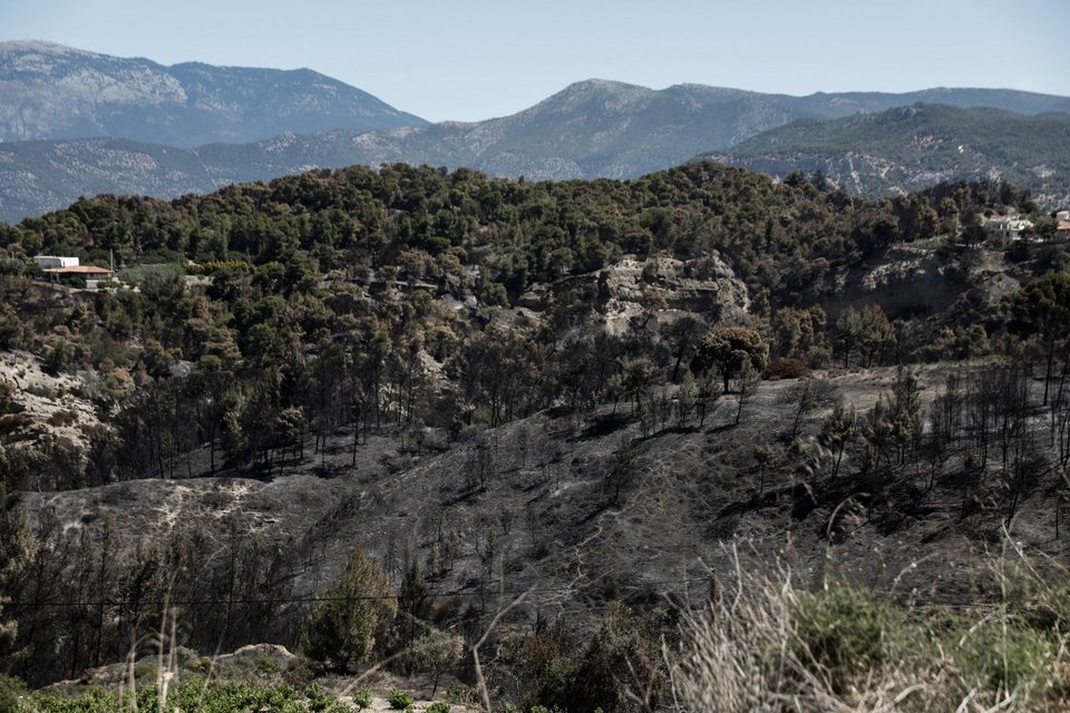 Φωτογραφία: EUROKINISSI/ΓΙΩΡΓΟΣ ΚΟΝΤΑΡΙΝΗΣ