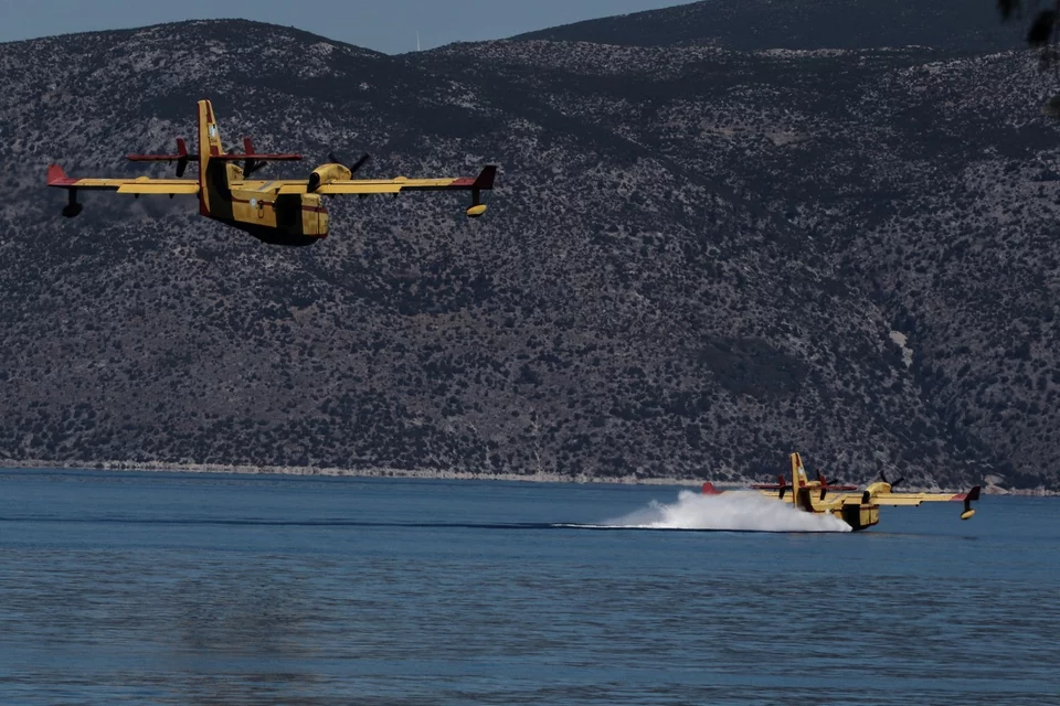 gerania-kammena-5.jpg.webp?itok=uCbQXndB