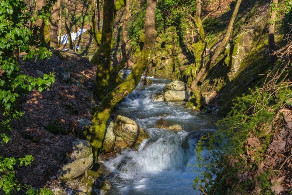 Φωτογραφία: Shutterstock