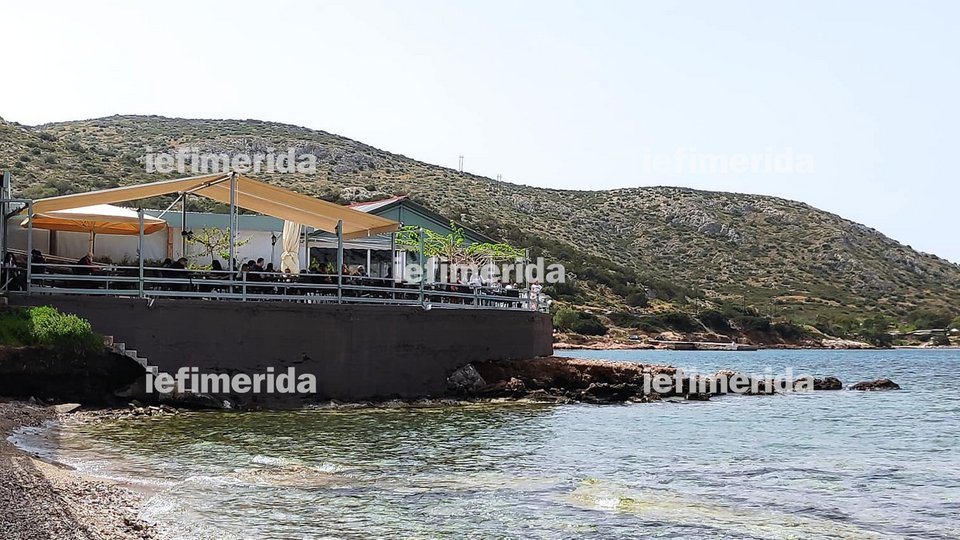 Αττική εστίαση παραλία