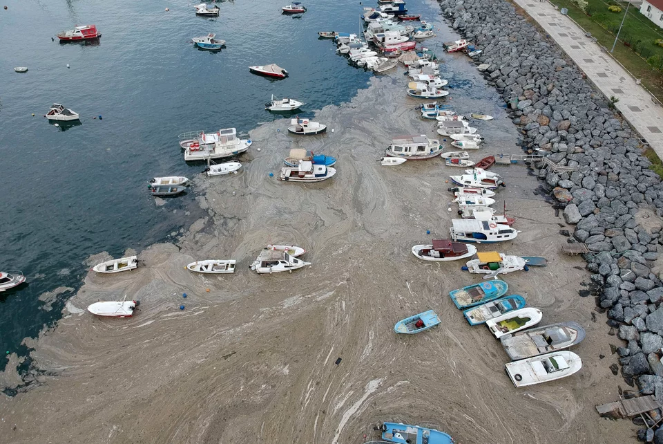 Σύμφωνα με επιστήμονες οι υψηλές συγκεντρώσεις αζώτου και φωσφόρου στη Θάλασσα του Μαρμαρά προκαλούν «έκρηξη» στους πληθυσμούς φυτοπλαγκτού που εκκρίνουν αυτή την τοξική  «βλέννα»