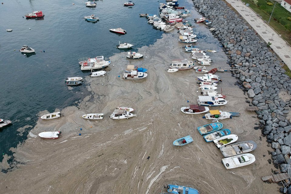 Σύμφωνα με επιστήμονες οι υψηλές συγκεντρώσεις αζώτου και φωσφόρου στη Θάλασσα του Μαρμαρά προκαλούν «έκρηξη» στους πληθυσμούς φυτοπλαγκτού που εκκρίνουν αυτή την τοξική «βλέννα»