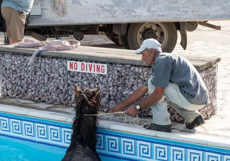 άλογο πισίνα Κεφαλονιά