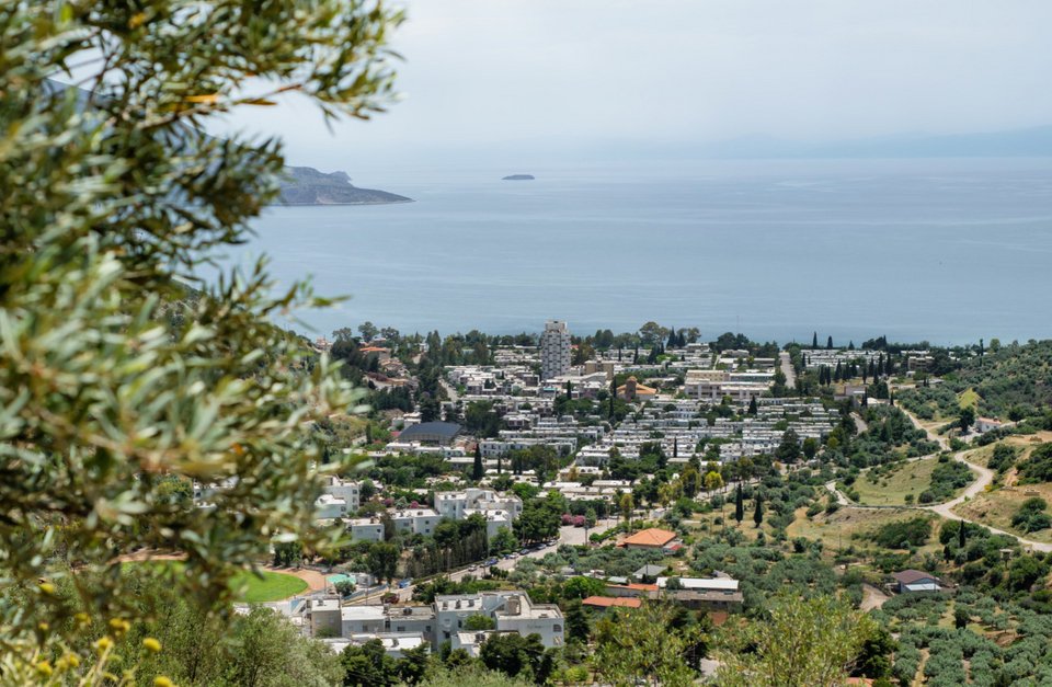 Τα άσπρα σπίτια παραλίας Διστόμου