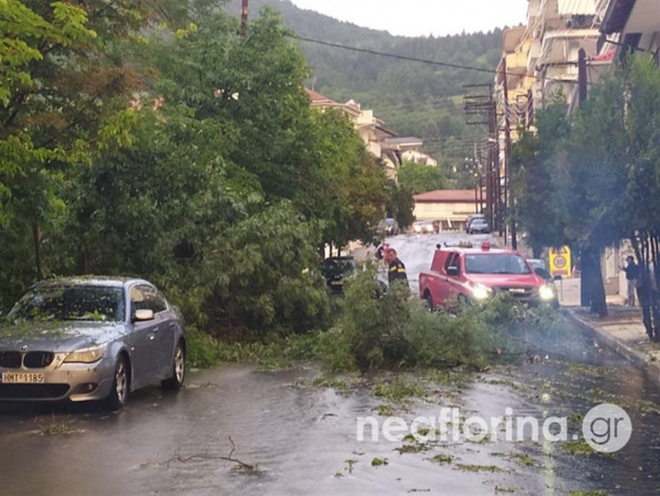 Eπεσαν δέντρα