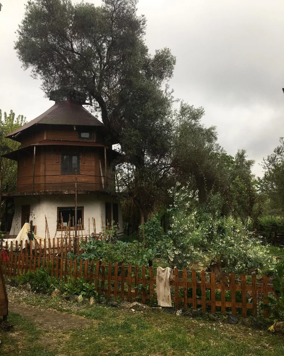 Όλα τα πράσινα οικήματα του χωριού που έφτιαξε η ομάδα Free and Real στην Εύβοια είναι κατασκευασμένα 100% με φυσικά υλικά.