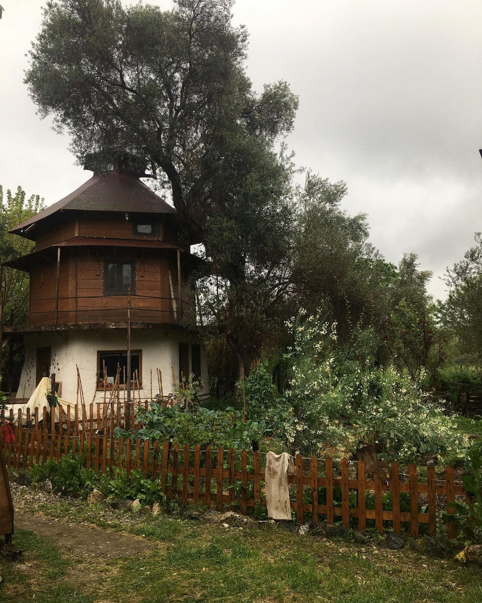 Όλα τα πράσινα οικήματα του χωριού που έφτιαξε η ομάδα Free and Real στην Εύβοια είναι κατασκευασμένα 100% με φυσικά υλικά