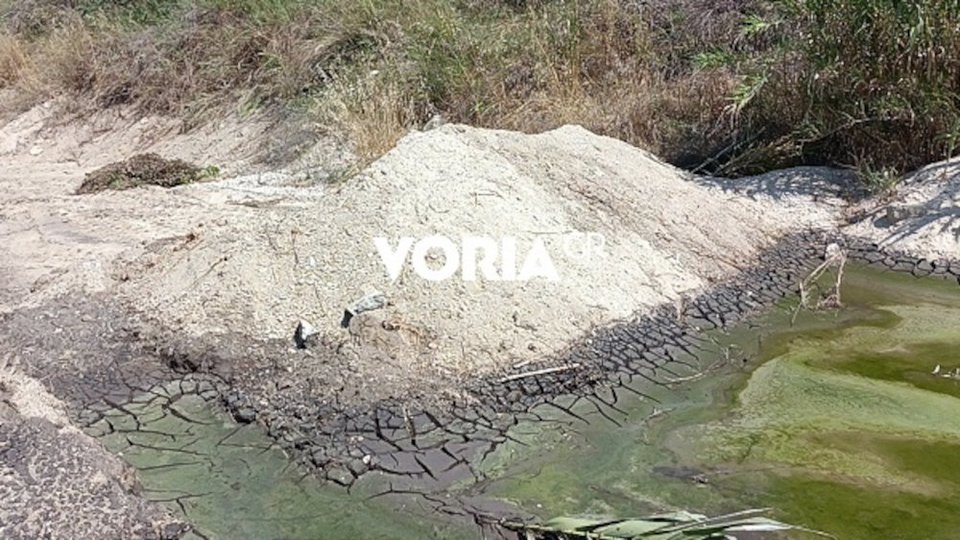 Πολύχρονο Χαλκιδικής