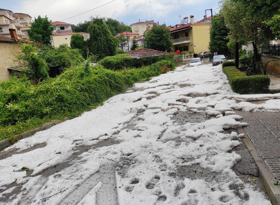 Φωτογραφία: kozan.gr