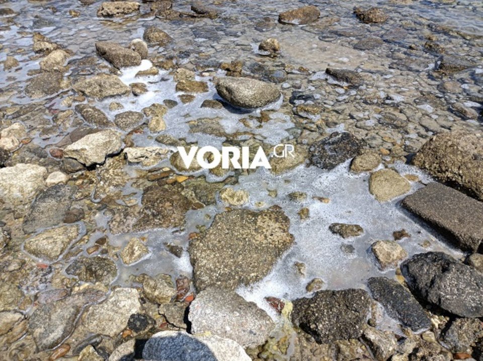 Πολύχρονο Χαλκιδικής