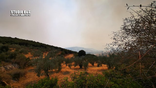 καπνός από φωτιά Αραχναίο Αργολίδας