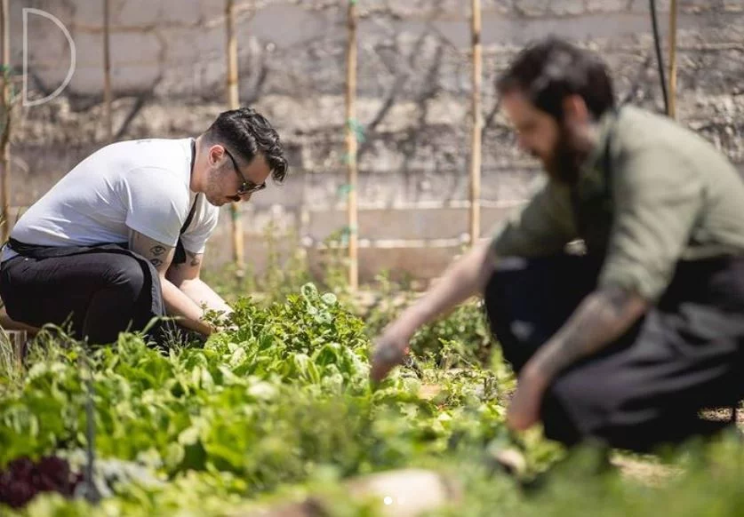 O Θάνος Φέσκος (αριστερά) και ο Γιώργος Παπαζαχαρίας στα κτήματα στο Μαρκόπουλο, όπου παράγεται σημαντικό μέρος των πρώτων υλών για το εργοστάσιο / Instagram Delta