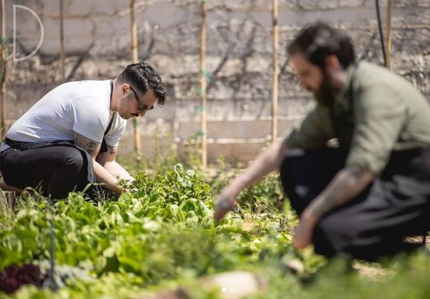 O Θάνος Φέσκος (αριστερά) και ο Γιώργος Παπαζαχαρίας στα κτήματα στο Μαρκόπουλο, όπου παράγεται σημαντικό μέρος των πρώτων υλών για το εργοστάσιο / Instagram Delta