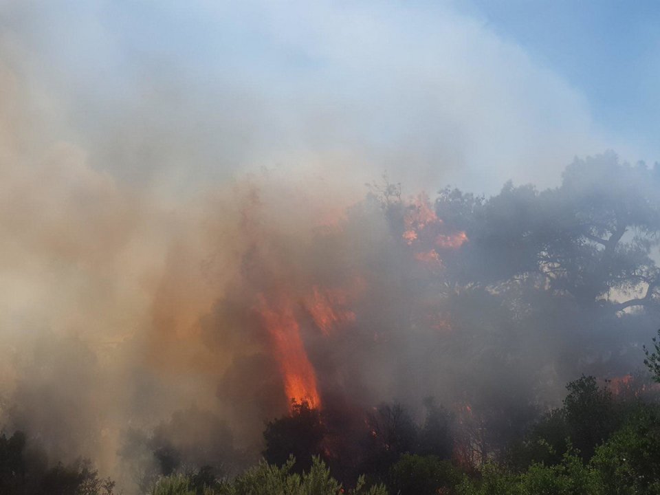 Φωτιά στον Εβρο/ Φωτογραφία: iefimerida
