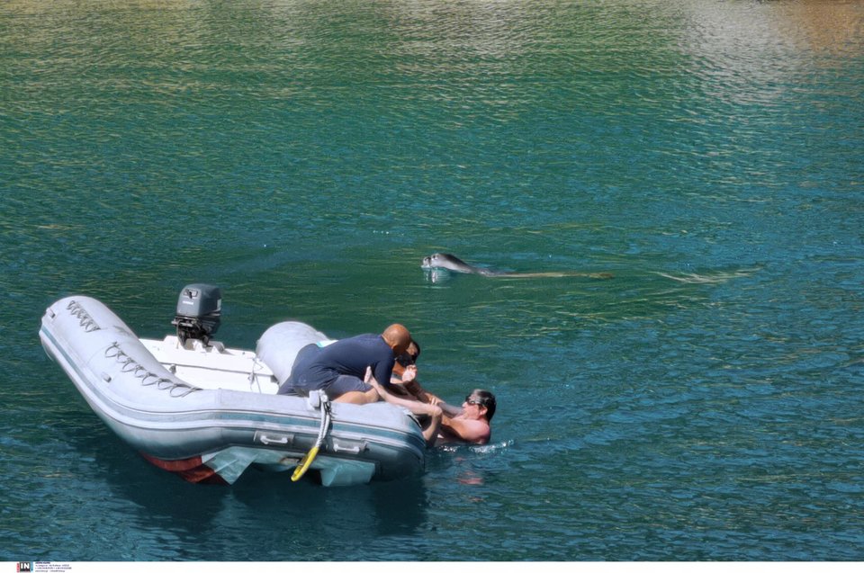Ενα μικρό φουσκωτό έσπευσε να βοηθήσει τον λουόμενο, ενώ η φώκια απομακρύνεται / Φωτογραφία: Intimenews/ΜΠΟΥΓΙΩΤΗΣ ΒΑΓΓΕΛΗΣ