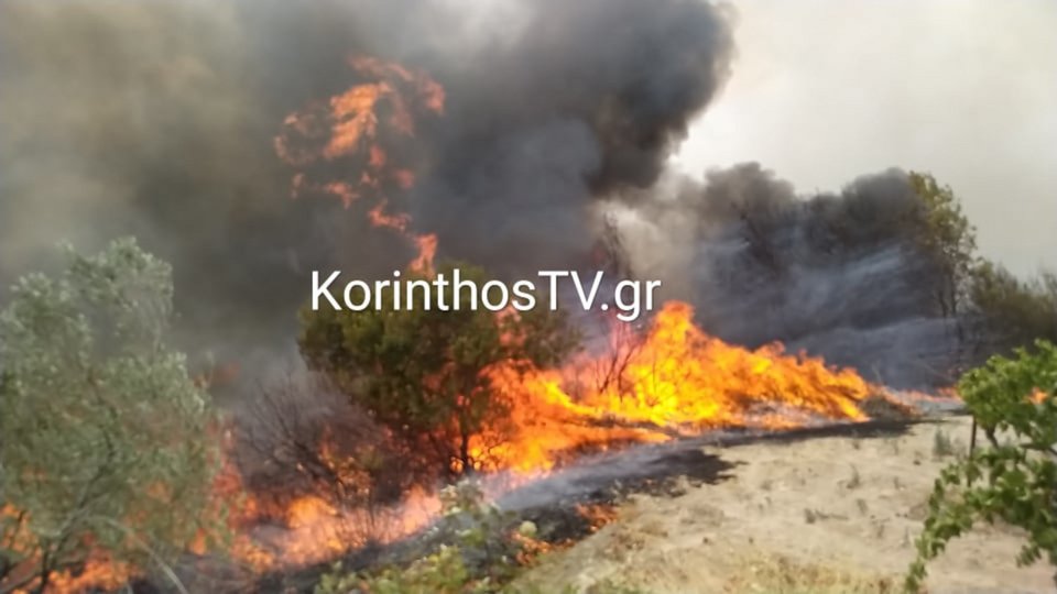 Η μορφολογία της περιοχής κάνει δύσκολη τη δουλειά της Πυροσβεστικής / Φωτογραφία: korinthostv.gr