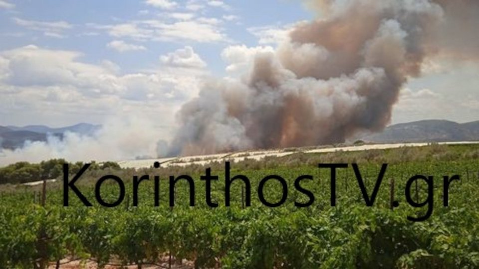 Πυκνοί καπνοί «πνίγουν» την περιοχή / Φωτογραφία: korinthostv.gr