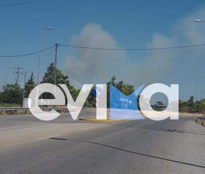 Φωτογραφία από evima