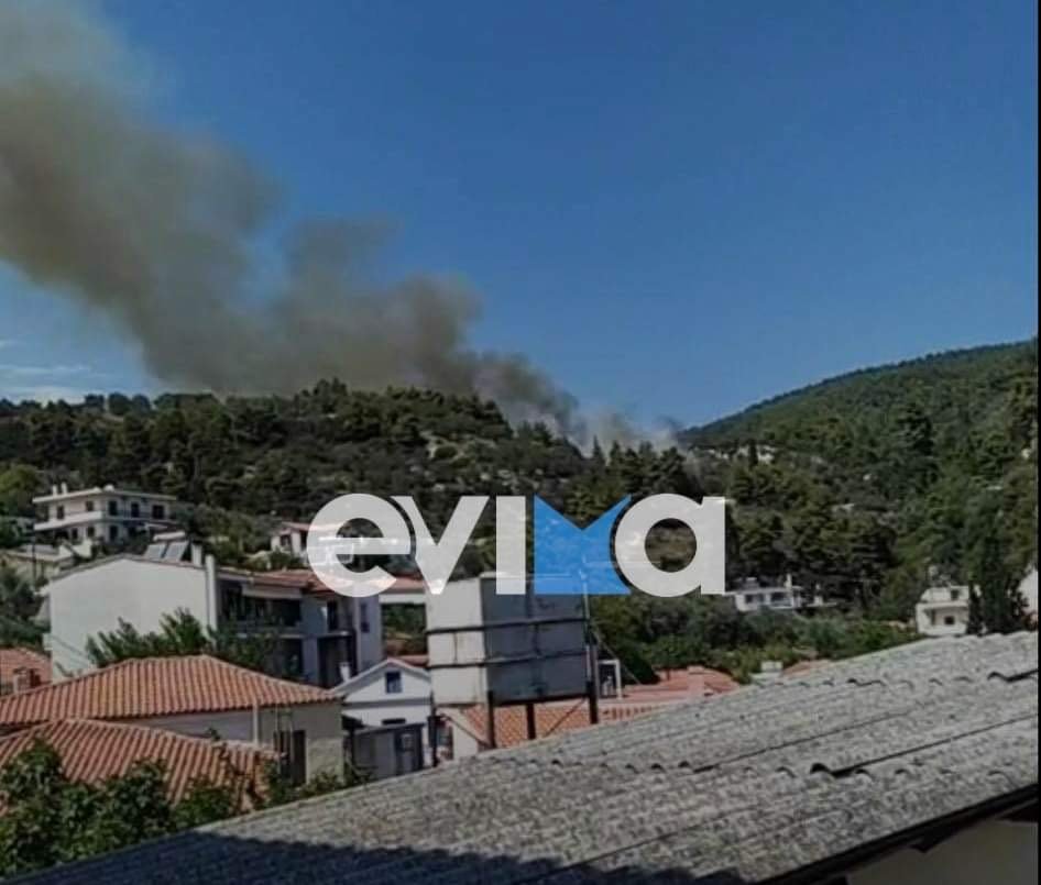 Η φωτιά βρίσκεται κοντά σε κατοικημένη περιοχή/Φωτογραφία: evima