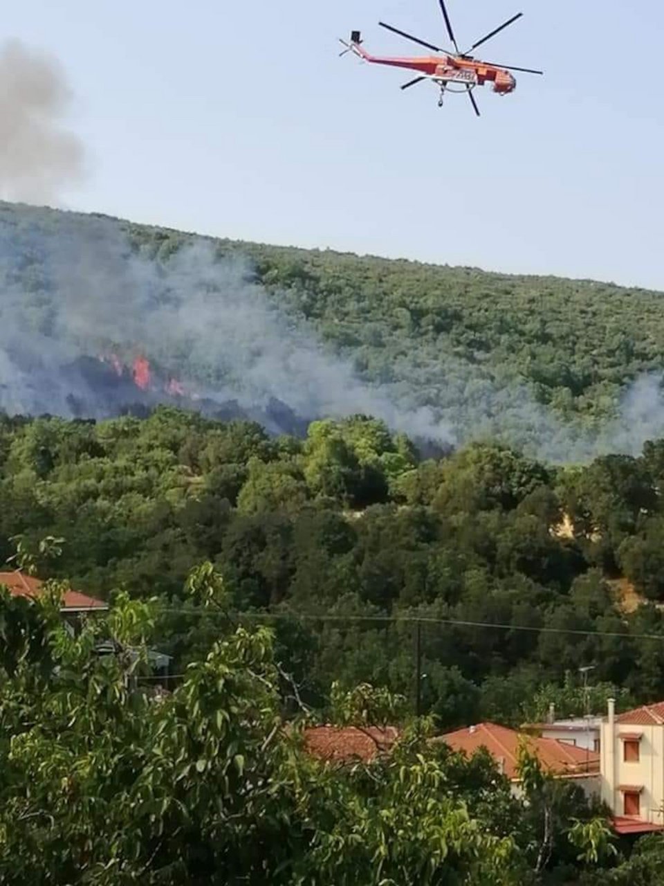 Κοντά στα σπίτια η φωτιά / Φωτογραφία: magnesianews.gr