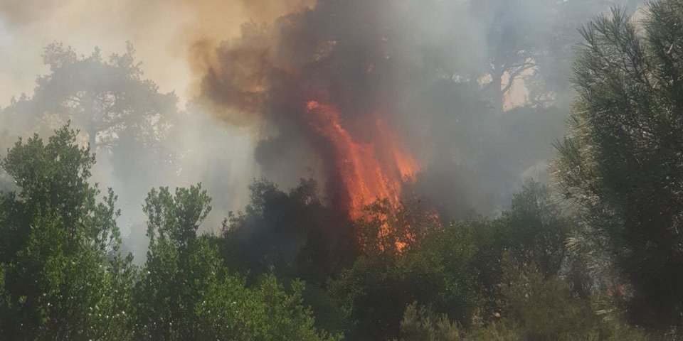 Φωτιά στον Εβρο/ Φωτογραφία: iefimerida