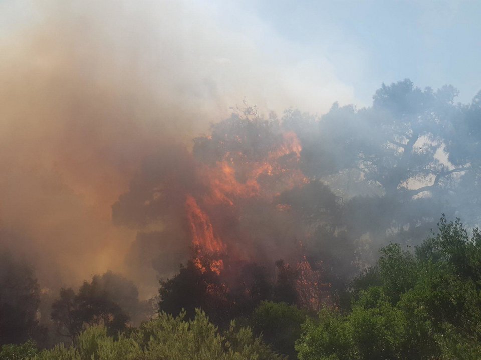 Φωτιά στον Εβρο/ Φωτογραφία: iefimerida