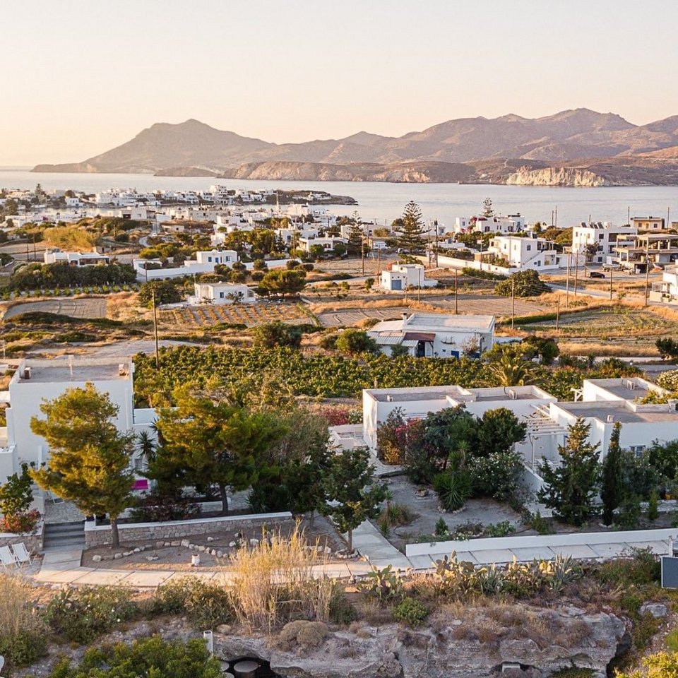 Οινοτουρισμός στα ελληνικά νησιά