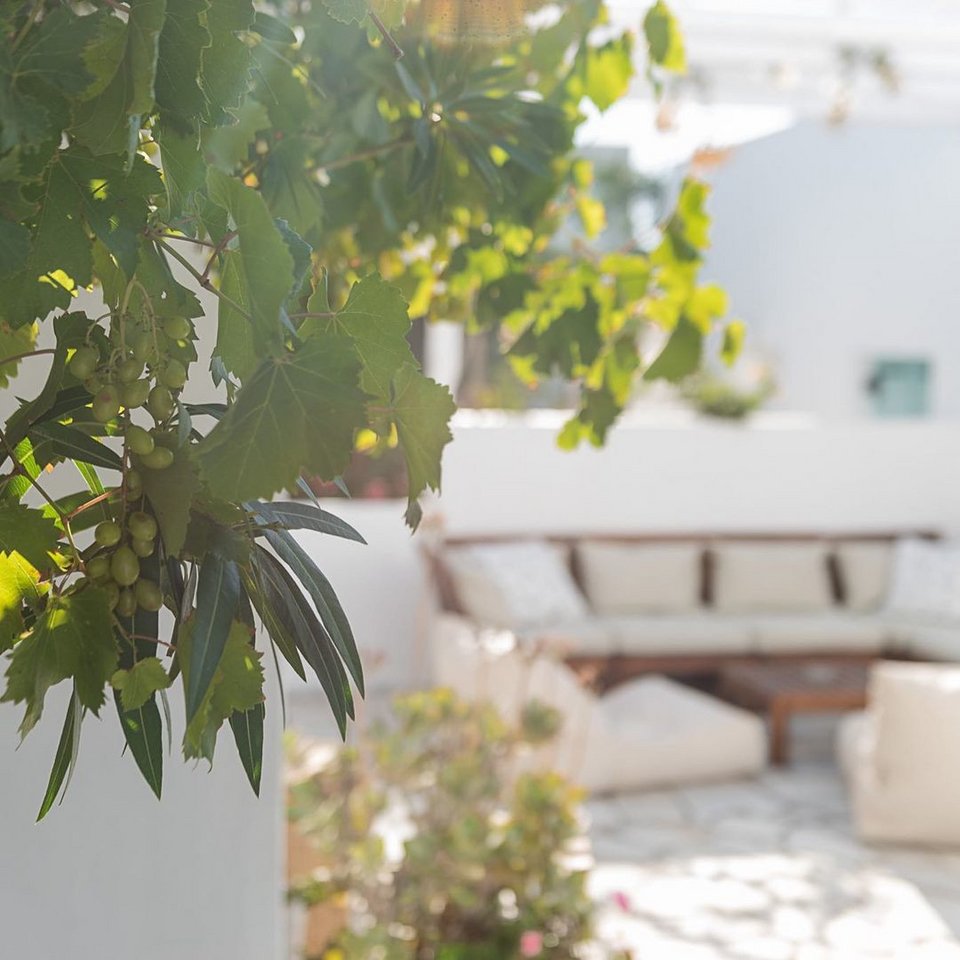 Οινοτουρισμός στα ελληνικά νησιά