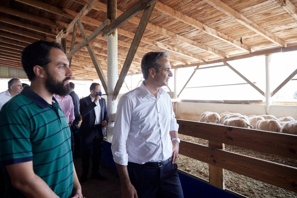 Φωτογραφία: ΓτΠ ΠΑΠΑΜΗΤΣΟΣ ΔΗΜΗΤΡΗΣ