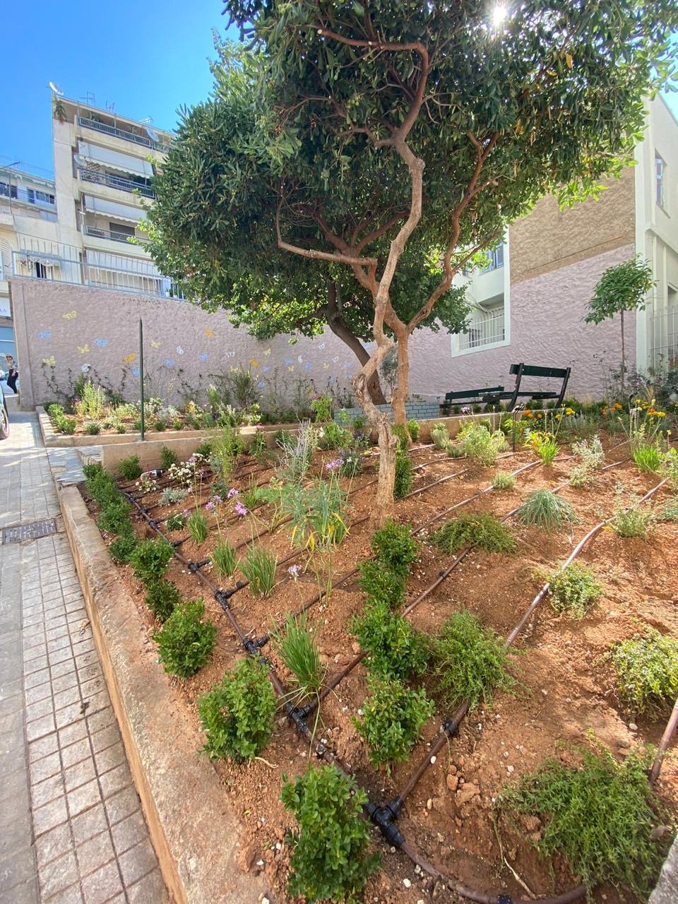 Στην Άνω Κυψέλη δημιουργήθηκε αυτό το μικρό πάρκο– ανθόκηπος