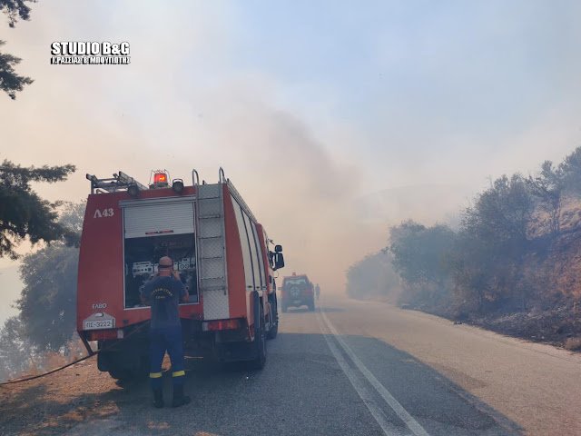 Φωτογραφία από argolikeseidhseis/ STUDIO B&G Γ. ΡΑΣΣΙΑΣ Ε. ΜΠΟΥΓΙΩΤΗΣ