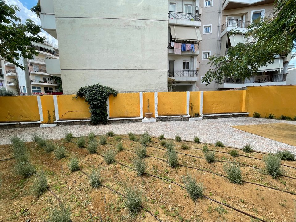 Ο εγκαταλελειμμένος χώρος στην οδό Δράμας μετατράπηκε σε κήπο λεβάντας