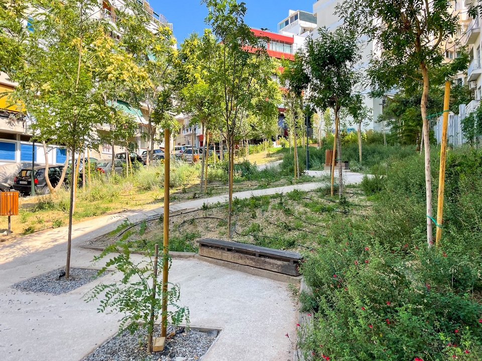 Ο εντυπωσιακός αριθμός διαφορετικών φυτών και η πυκνότητα φύτευσής τους, συμβάλλουν στη δημιουργία ενός οικοσυστήματος με οφέλη για τη γειτονιά.